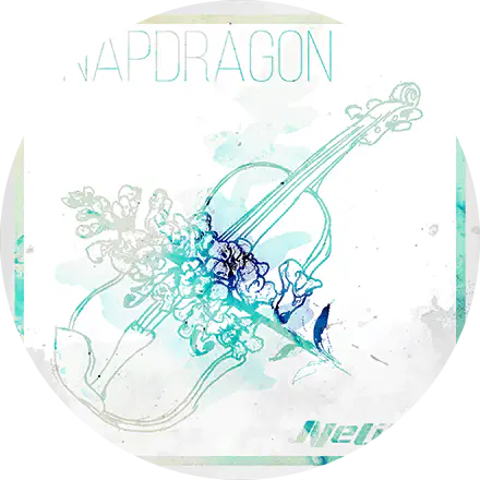 /assets/snapdragon_cover-xixQiH9P.webp