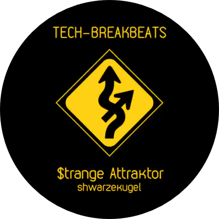 /assets/strange_attraktor_cover-VA3N5WFI.webp
